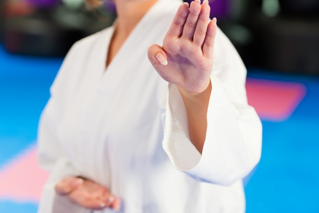 Entraînement sportif aux arts martiaux au gymnase