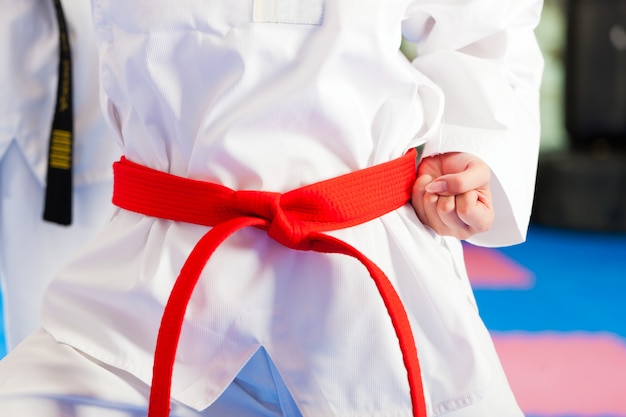 Entraînement sportif aux arts martiaux au gymnase