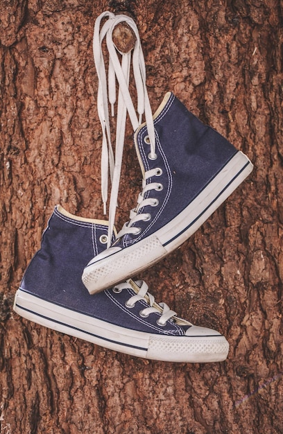 Photo les entraîneurs chuchotent les converses accrochées à un vieil arbre.