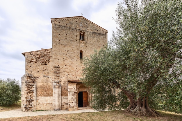 Entrée à l'abbaye de Sant Antimo Abbazia di Sant'Antimo avec porte ouverte, olivier géant, Toscane, Italie