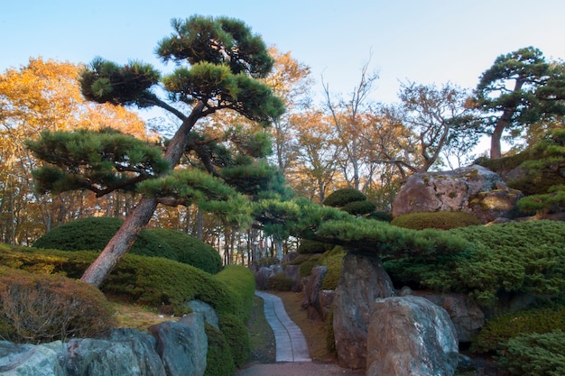 Entrée aller au parc naturel en automne au japon