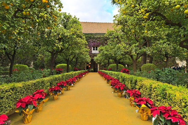 Photo l'entrée du palais des duenas