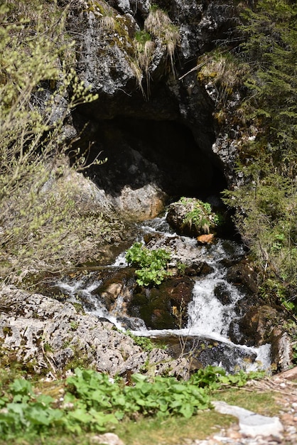 Entrée de la grotte avec un ruisseau d'eau