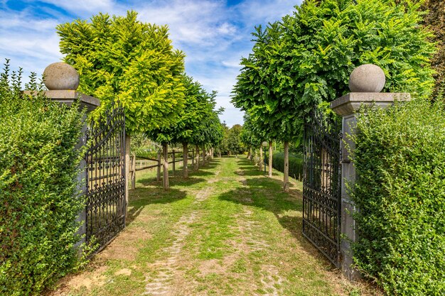 Photo entrée d'un parc avec une vieille clôture et des arbres verts aux pays-bas hollande