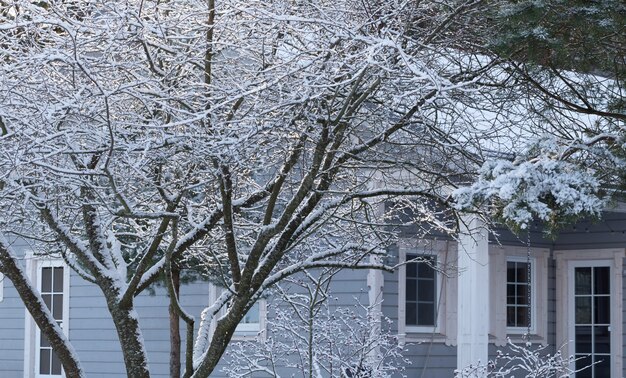 Entrée principale enneigée de la maison de banlieue. L'hiver au jardin.