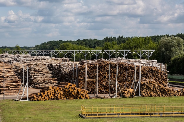 Entrepôt de bois de chauffage piles de bois de chauffage tas de bois de chauffage arrière-plan libre à l'usine de transformation du bois