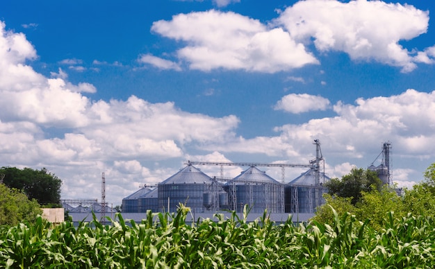 Entreprises agricoles. Contenants en fer brillant pour le stockage du grain.