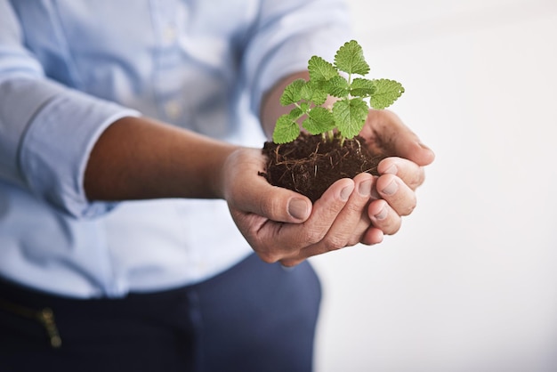 Entretenir son entreprise du début à la fin Photo des mains d'une femme d'affaires tenant une jeune plante dans le sol