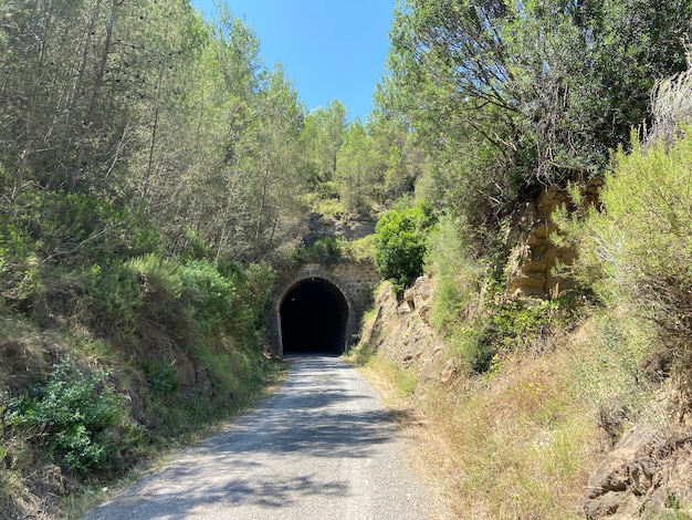 Entrez dans un tunnel dans la nature