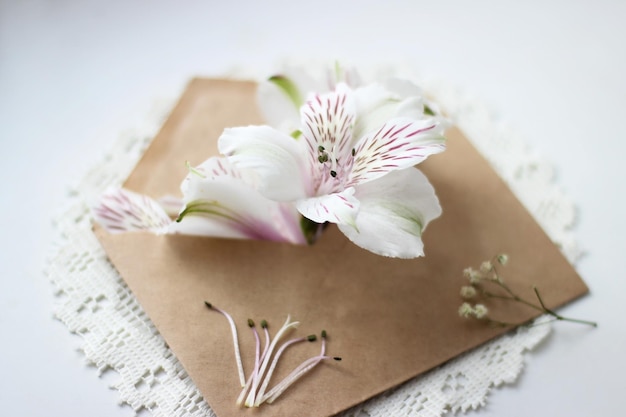 Enveloppe artisanale avec des fleurs de lys péruviens blanches et roses à l'intérieur Vue de dessus à plat Photo romantique de haute qualité