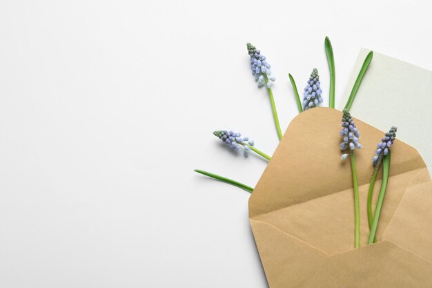 Enveloppe avec de belles fleurs de muscari de printemps et carte sur fond clair mise à plat Espace pour le texte