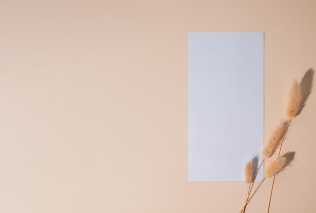 Enveloppe blanche vide avec des fleurs séchées sur un fond beige avec de l'ombre