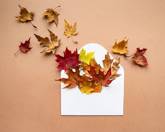 Enveloppe avec des feuilles séchées sur beige, à plat