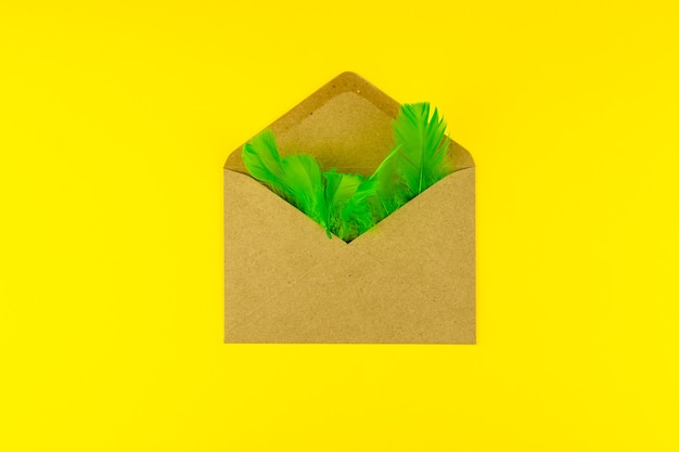 Enveloppe de papier kraft avec des plumes vertes sur une surface jaune vif.