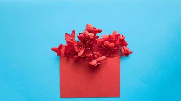 Enveloppe rouge avec des fleurs rouges à l'intérieur sur un modèle de fond bleu pour les newsletters et autres courriers