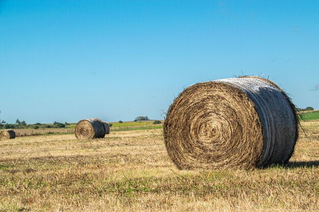 Environnement agricole