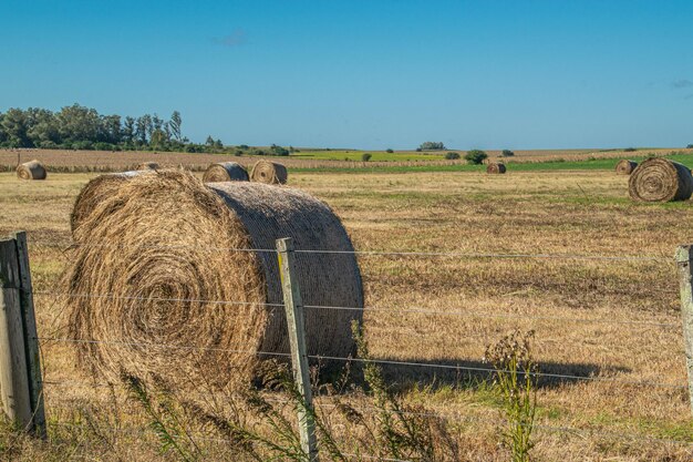 Environnement agricole