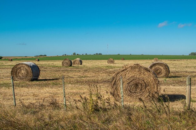 Environnement agricole