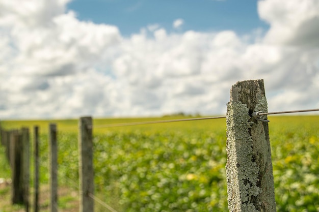 Environnement agricole