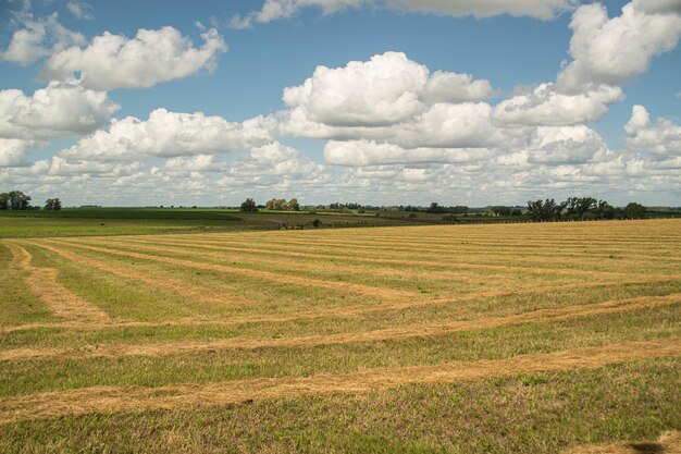 Environnement agricole