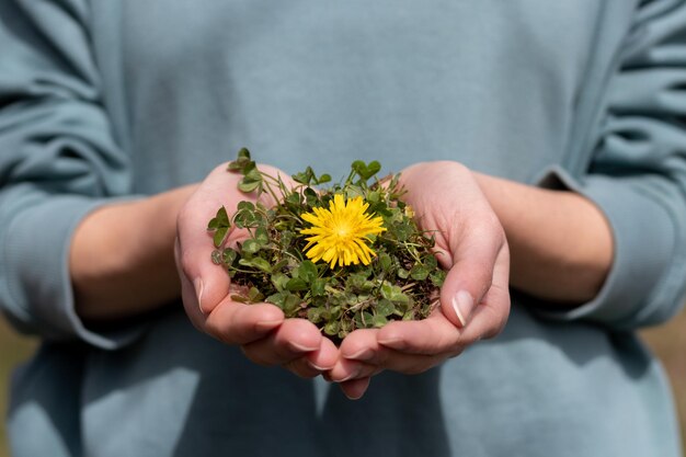 Environnement Jour de la Terre Main féminine tenant une fleur sur le concept de conservation de la nature