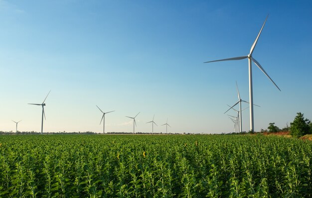 Éoliennes et champ agricole un jour nuageux d'été