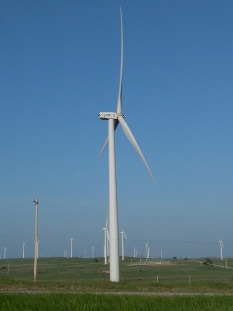 Des éoliennes sur un champ herbeux contre un ciel dégagé