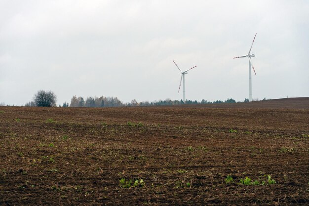 Éoliennes Dans Un Champ De Blé Production D'électricité Renouvelable Sources D'énergie Renouvelables