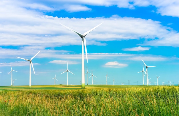 Les éoliennes dans le domaine