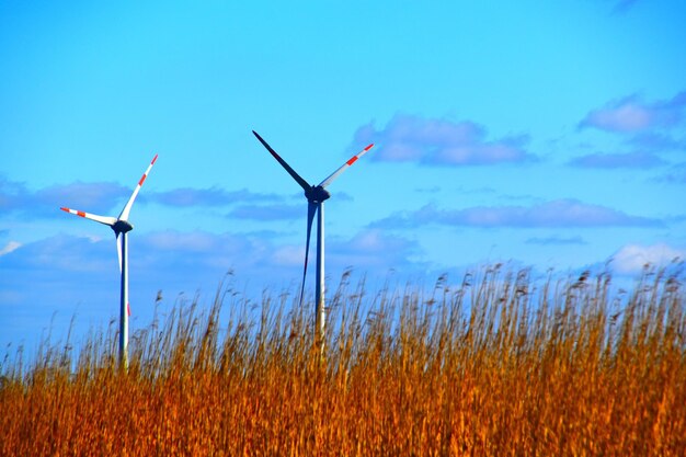 Photo les éoliennes sur le terrain contre le ciel