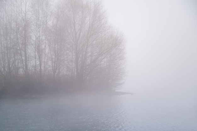 Un épais brouillard sur le lac tôt le matin Silhouettes d'arbres nus sur l'île au loin