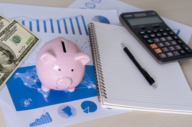 épargne pour la comptabilité financière Young épargne gestion d'argent investissement