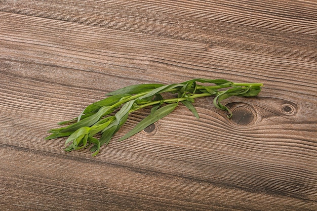 Photo Épice à base d'herbe d'étragon vert pour la cuisine