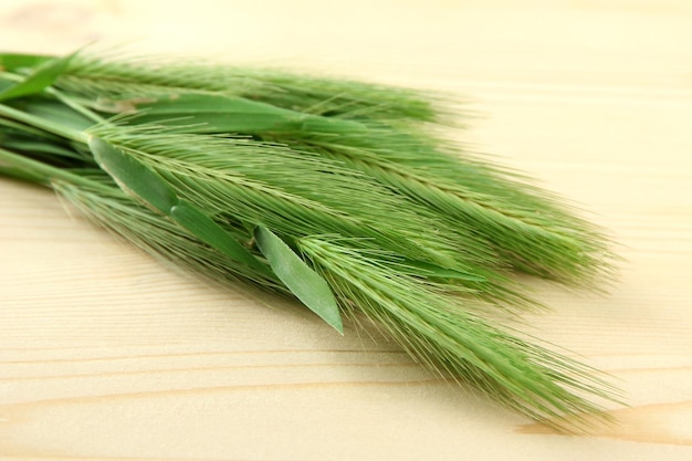 Épillets verts sur fond de bois