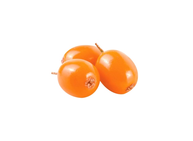 l'épinette ou Hippophae rhamnoides est utilisée dans les aliments, les cosmétiques et la médecine traditionnelle