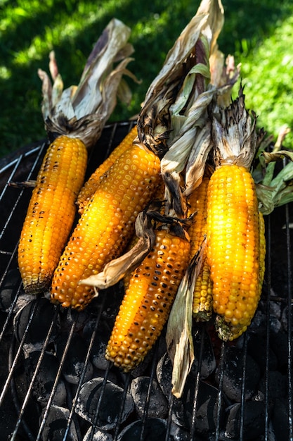 Des épis de maïs sur le gril dans le jardin