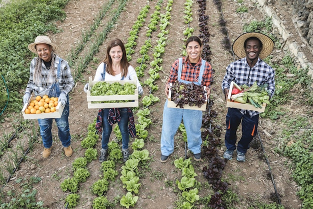 Équipe d'agriculteurs multi générationnelle tenant des boîtes en bois avec des légumes biologiques frais