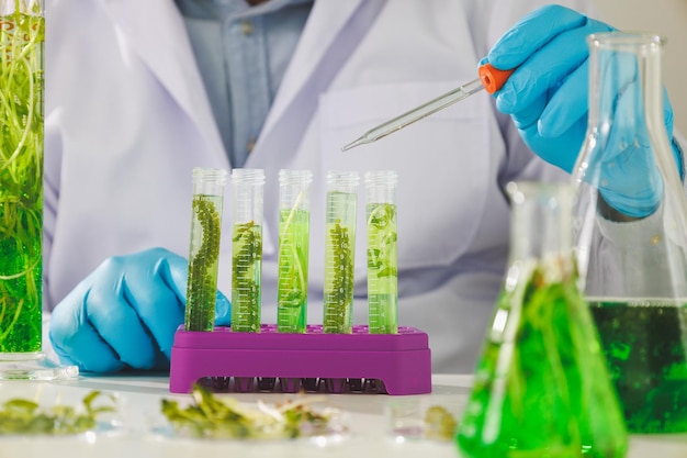 Équipe de chercheurs scientifiques travaillant sur la recherche et la science biotechnologique Photobioréacteur en laboratoire d'algues carburant biocarburant biochimique durable