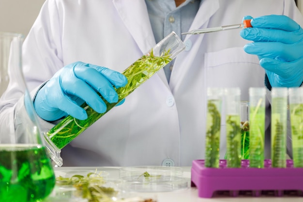 Équipe de chercheurs scientifiques travaillant sur la recherche et la science biotechnologique Photobioréacteur en laboratoire d'algues carburant biocarburant biochimique durable