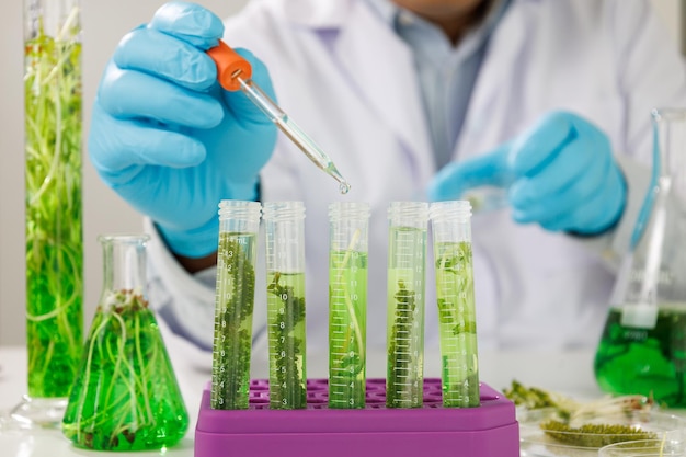 Équipe de chercheurs scientifiques travaillant sur la recherche et la science biotechnologique Photobioréacteur en laboratoire d'algues carburant biocarburant biochimique durable
