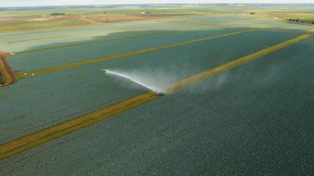 équipement d'irrigation arrosage des champs de chou système d'arrosage arrosage du champ de la ferme