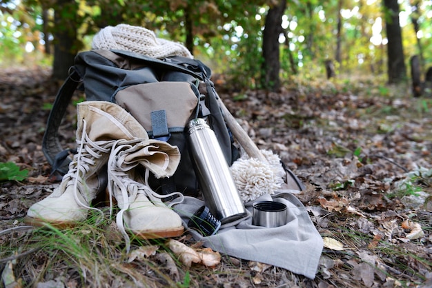 Equipements touristiques en forêt