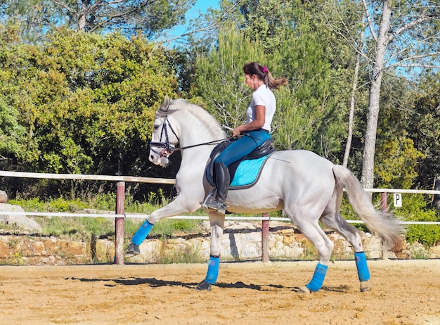 équitation femme sur étalon