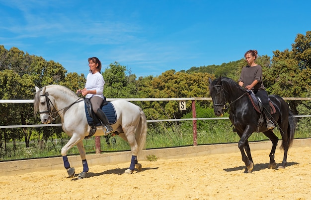 équitation femme sur étalon