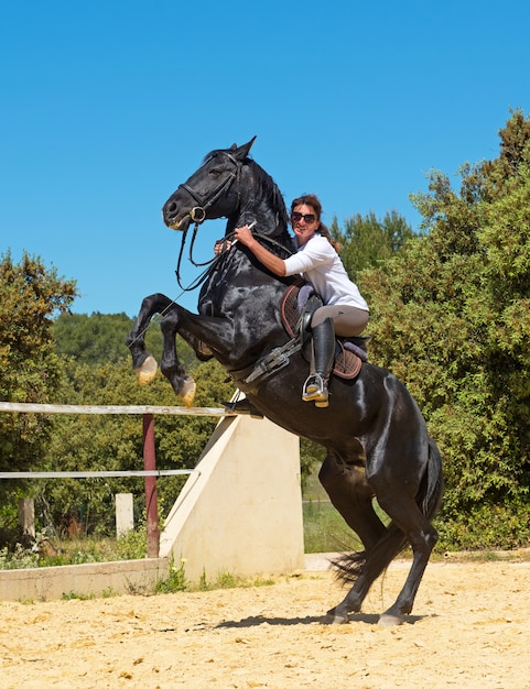 équitation femme sur étalon