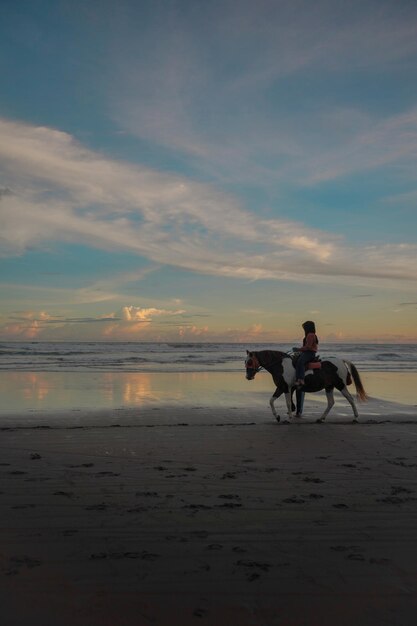 l'équitation avec vue sur la plage ensoleillée