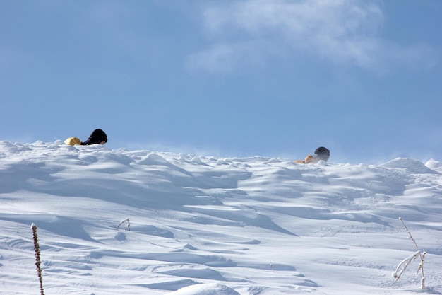 escalade dans la neige