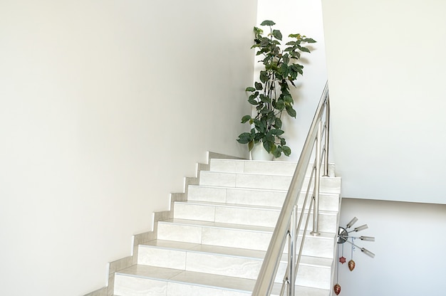 Escalier blanc dans le bâtiment. Fleur verte sur le site. Design moderne et élégant.