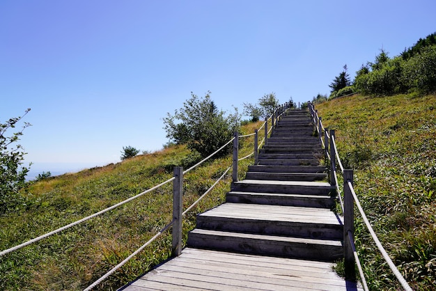 Escalier en bois accès à la montagne volcanique du Puy de DÃƒÂ'me depuis le Puy Pariou en Auvergne france