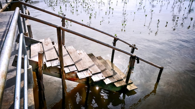 Escalier en bois de planche avec la main courante en bambou à la mer